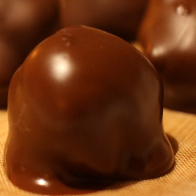 Chocolate-coated Truffles